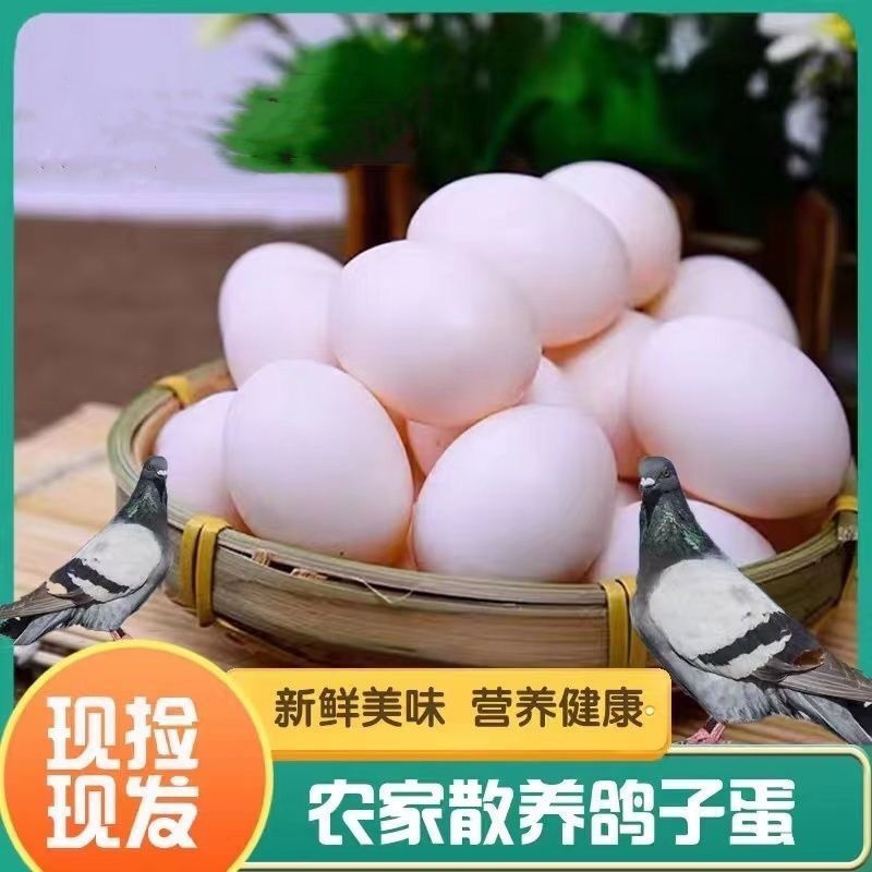 Farm-Raised Free-Range Fresh Pigeon Eggs, 30 Pieces, Suitable as Supplementary Food for Pregnant Women and Babies, Mixed Grain Feeding, White Pigeon Eggs, Pigeon Eggs, Pigeon Eggs