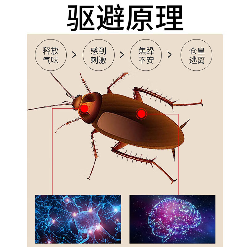 Cockroach killing magic beads lavender fragrance plant cockroach prevention plant essential oil cockroach magic beads black beads factory wholesale