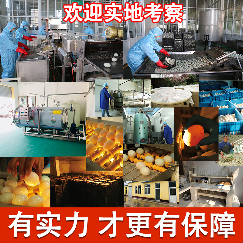 Double yellow salted duck eggs authentic flowing oil big cooked Baiyangdian specialty non-roasted sea duck eggs pickled salted eggs factory direct supply