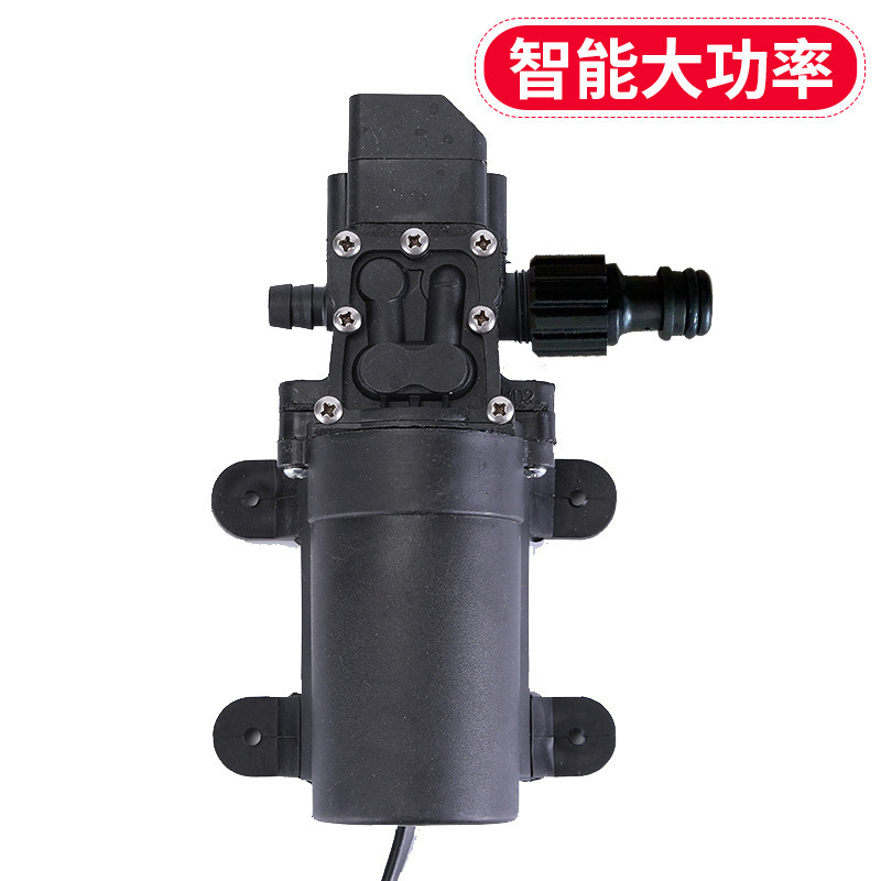 12V car wash water pump car washer 220V high pressure water gun household portable car washer car brush artifact grab