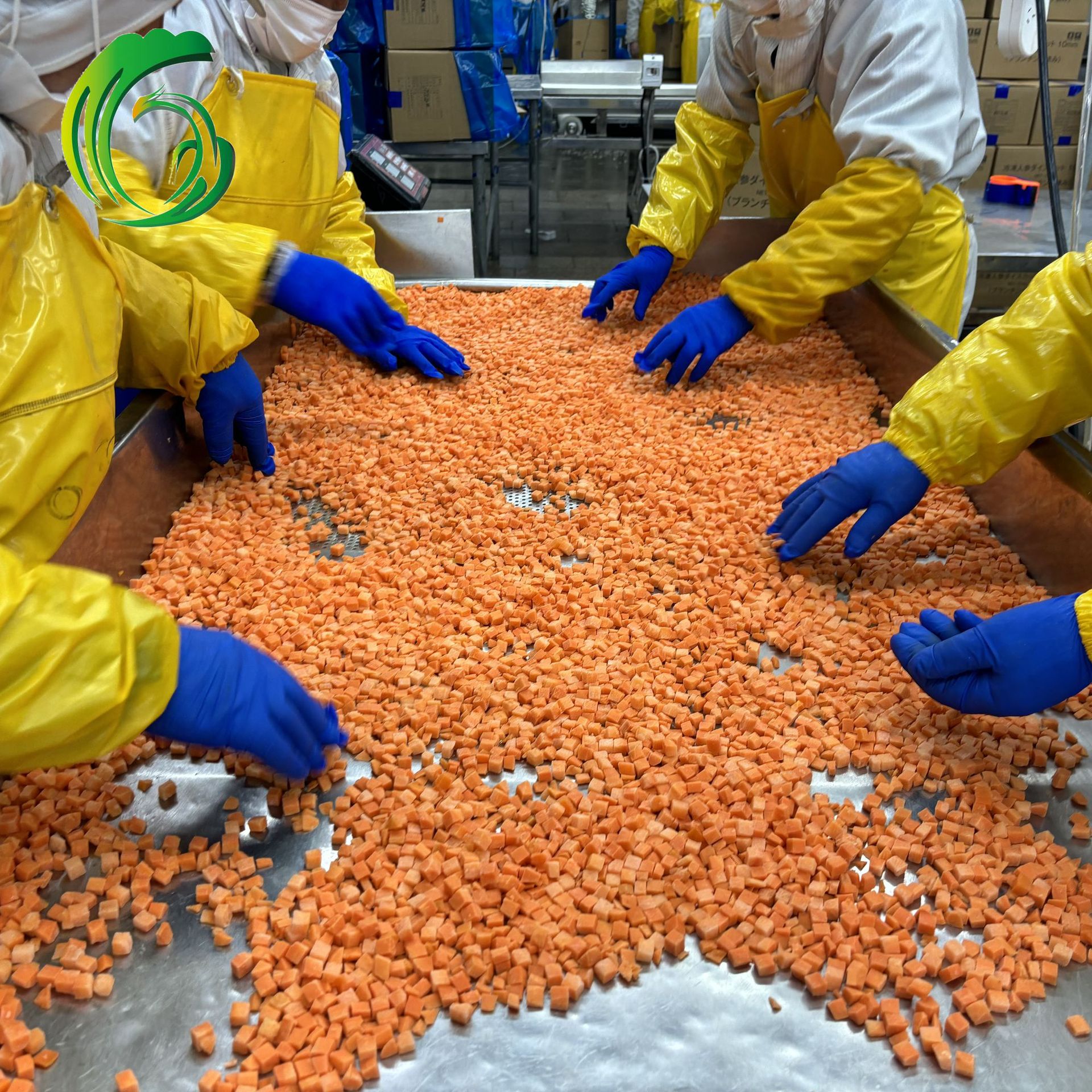 Frozen Diced Carrots 10mm Factory Direct Supply from Shandong Exported to Korea Haccp Brc