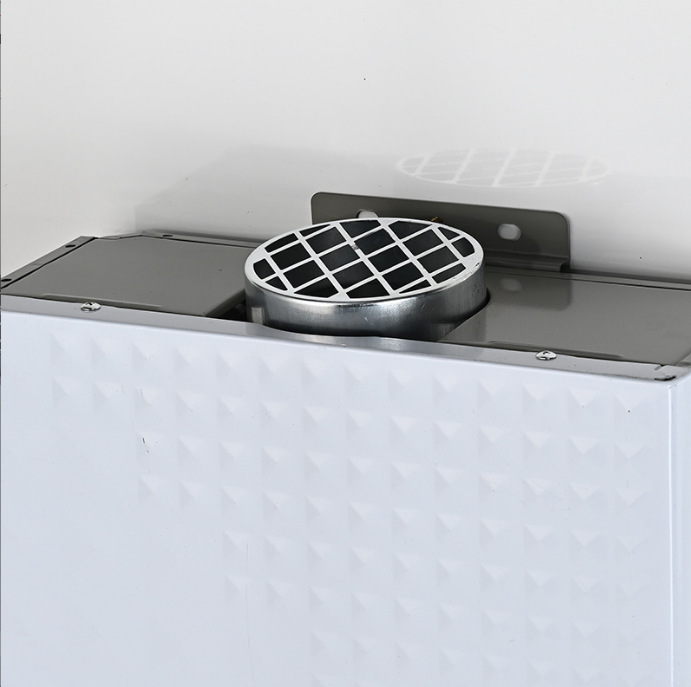 Factory Outlet Gas Water Heater Liquefied Gas Water Heater Instant Heat Copper Water Tank Water Heater Propane Water Heater