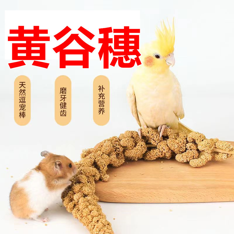 Снек для попугаев, зерновая палочка, корм для птиц, наградные закуски, тигровая шкура, специальный корм