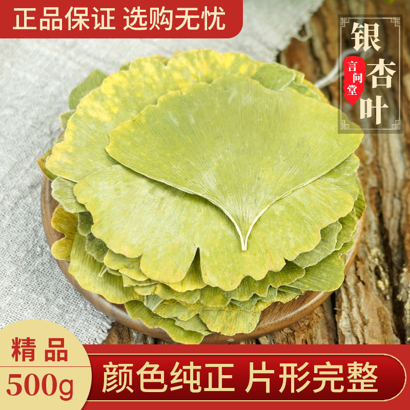 Ginkgo Leaf Chinese Herbal Medicine 500g Ginkgo Leaf Tea Genuine New Arrival White Ginkgo Leaves Dried Ginkgo Leaves Whole Piece for Tea and Water