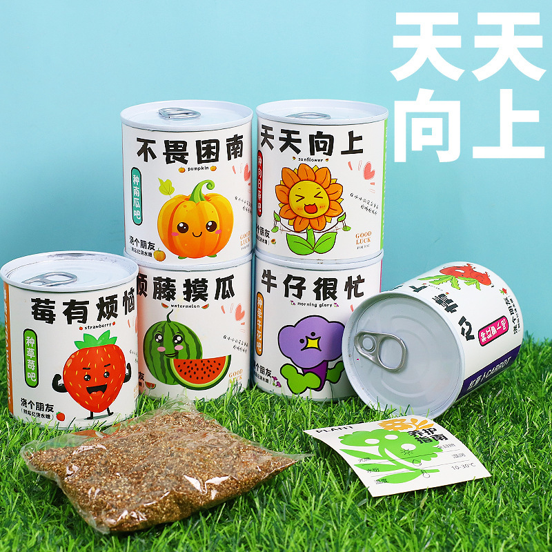 Children's DIY Planting of Small Potted Plants, Indoor Desktop Green Plant Flower Cans, Potted Plants, Office Cans, Potted Plants Wholesale