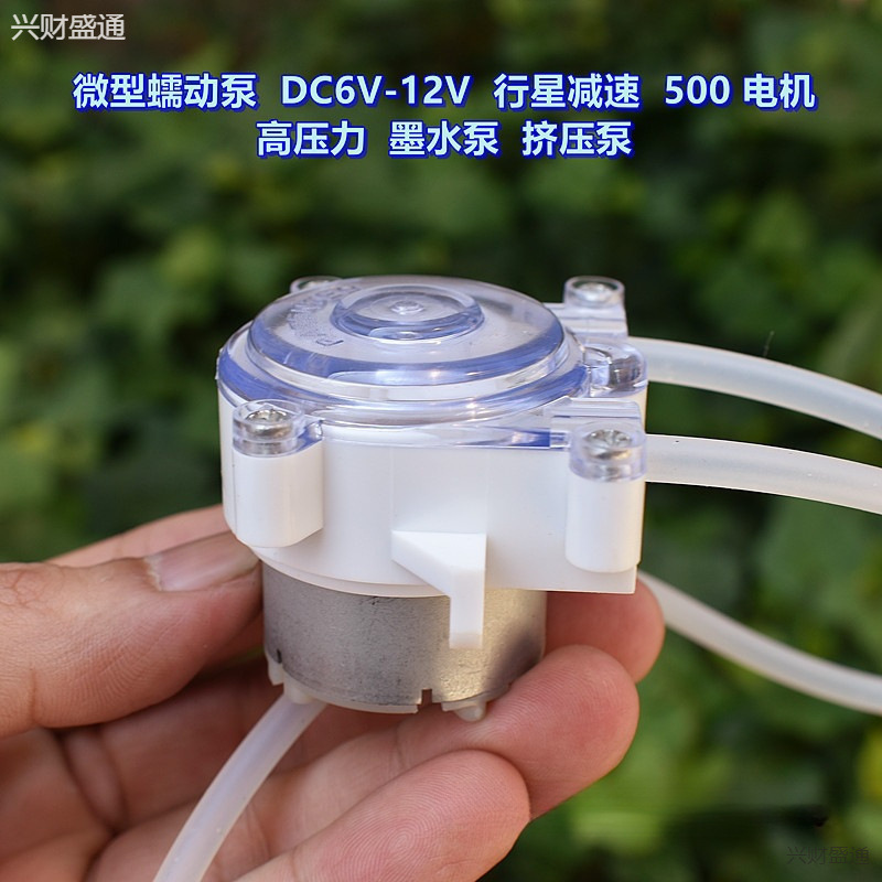 Micro Peristaltic Pump Dc6V-12V Planetary Reduction 500 Motor High Pressure Ink Pump Extrusion Pump