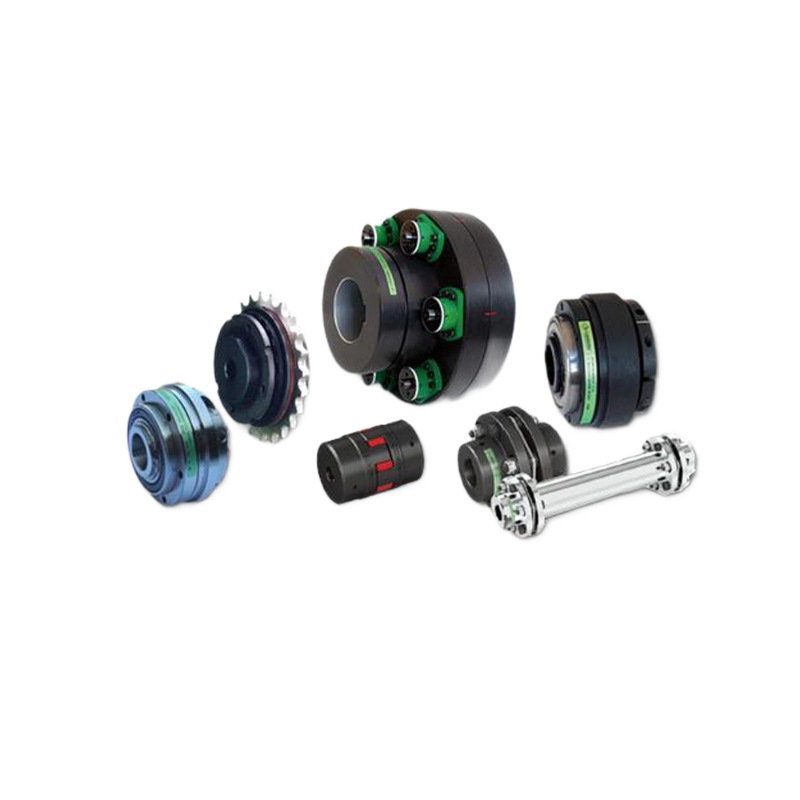 Italian Original Torque Limiter Comintec Friction Torque Limiter Df Type Clutch