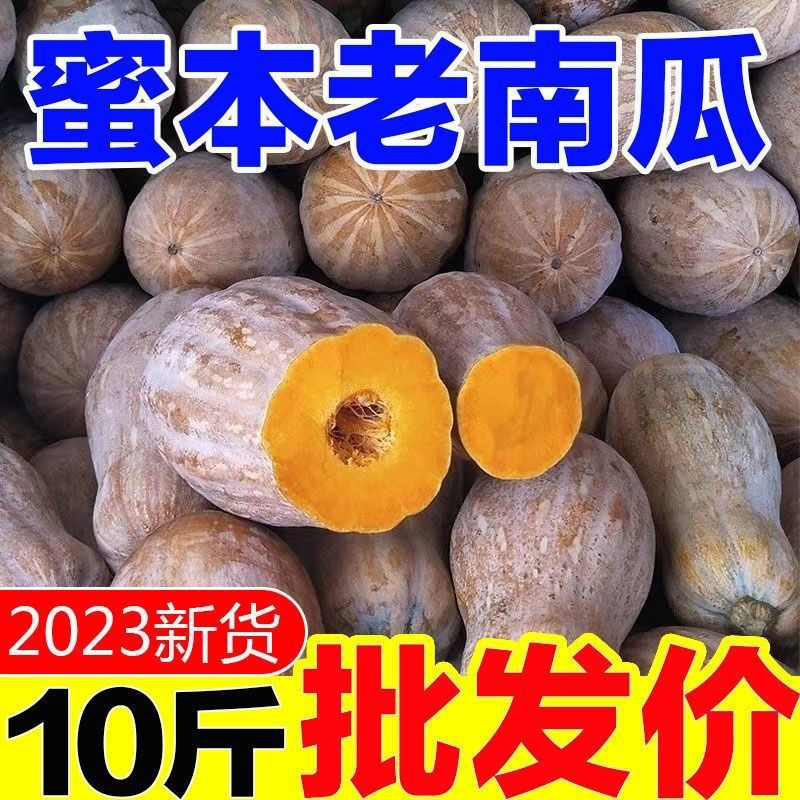 Old Pumpkin Yunnan Plateau Honey Melon, Long and Sweet, Farm Freshly Picked, Direct Supply, Small Sweet Glutinous Cow Leg Wholesale