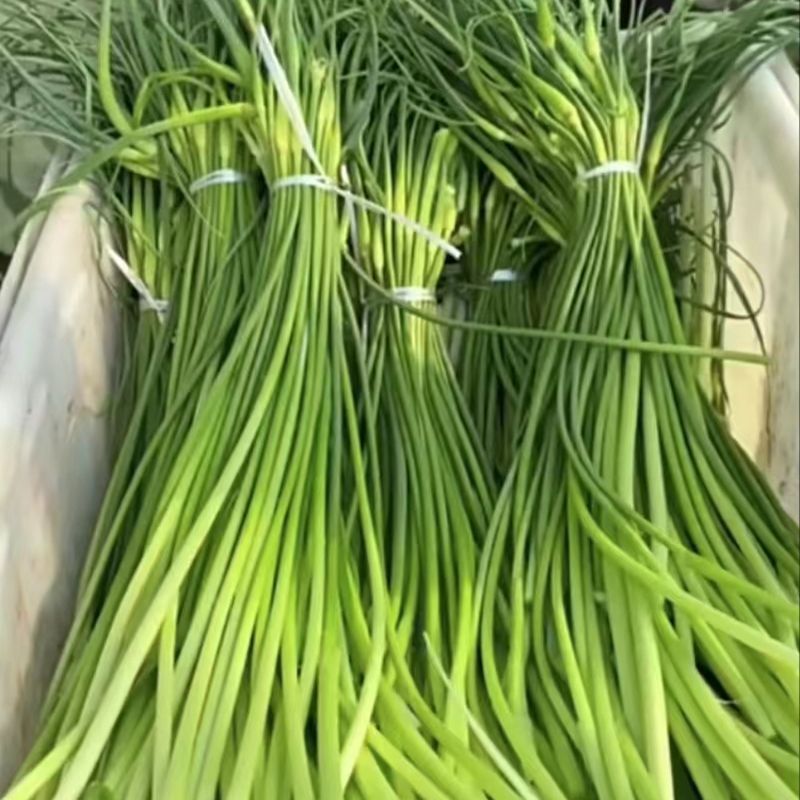 2.5кг Бесплатная доставка, Свежесобранный чесночный мох, Свежие чесночные побеги, Свежий чесночный мох, Нежный чесночный мох из Шаньдуна, Оптом свежие овощи