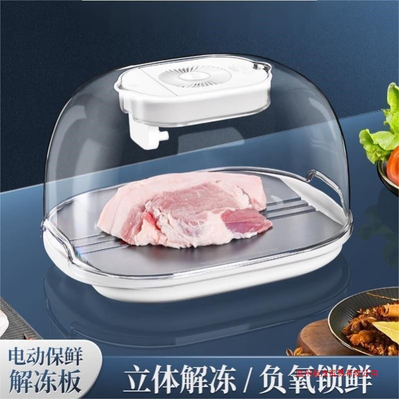 Defrosting Artifact Household German Constant Temperature Multi-Functional Fresh-Keeping Fast Kitchen Defrosting Machine Uv Drain Basket