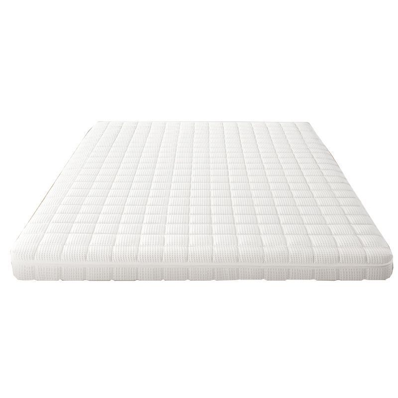 Bangladesh S-Type Jute Mattress for Home Use in Bedrooms, Suitable for the Elderly and Children, Spine-Protecting Natural Raw Jute Latex Mattress