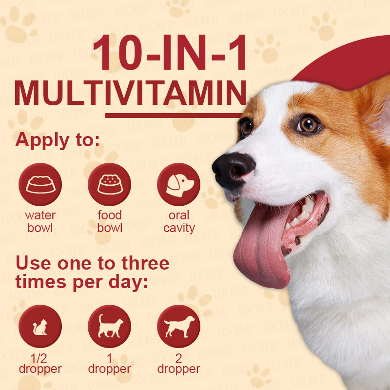 Source Factory Cross-Border Foreign Trade 10-in-1 Pet Complex Drops 10 in 1 Multivitamin