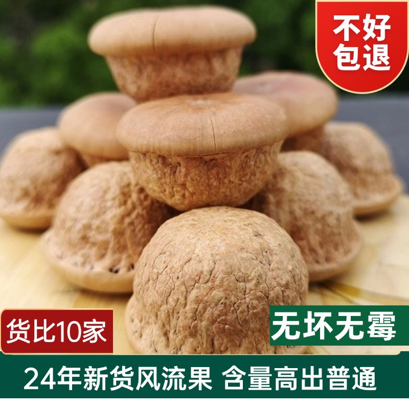 Гуанси, фрукт Фенглю, дикий Инь Янцзы, двойной плод почек, ингредиенты травяного вина, польза, каменные фрукты, замоченные сушеные фрукты