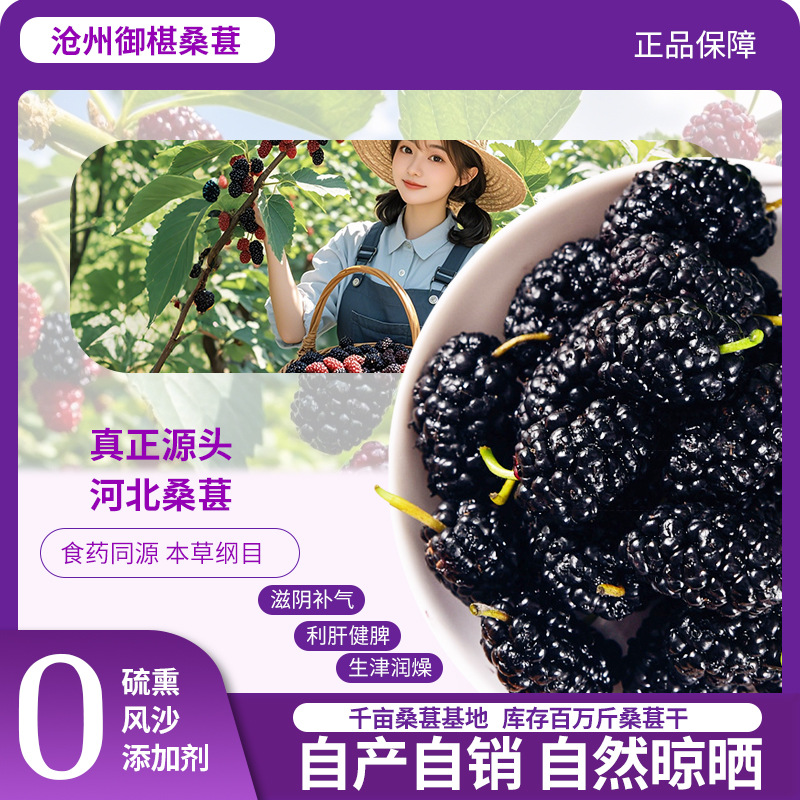 Wholesale Dried Black Mulberries, Ripe Mulberries Without Sand or Sulfur, Dried Mulberries for Tea, Premium Extra-Large Fruit