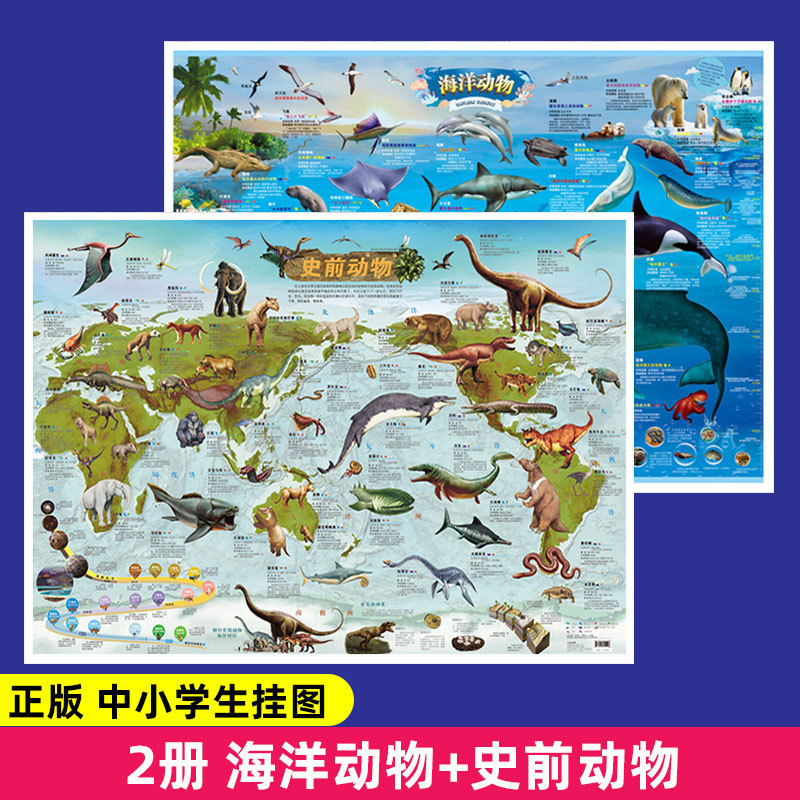 China Map and World Map Large Size Waterproof Primary School Student Special Wall Chart Map Kidsren's Wall Sticker Geography Map