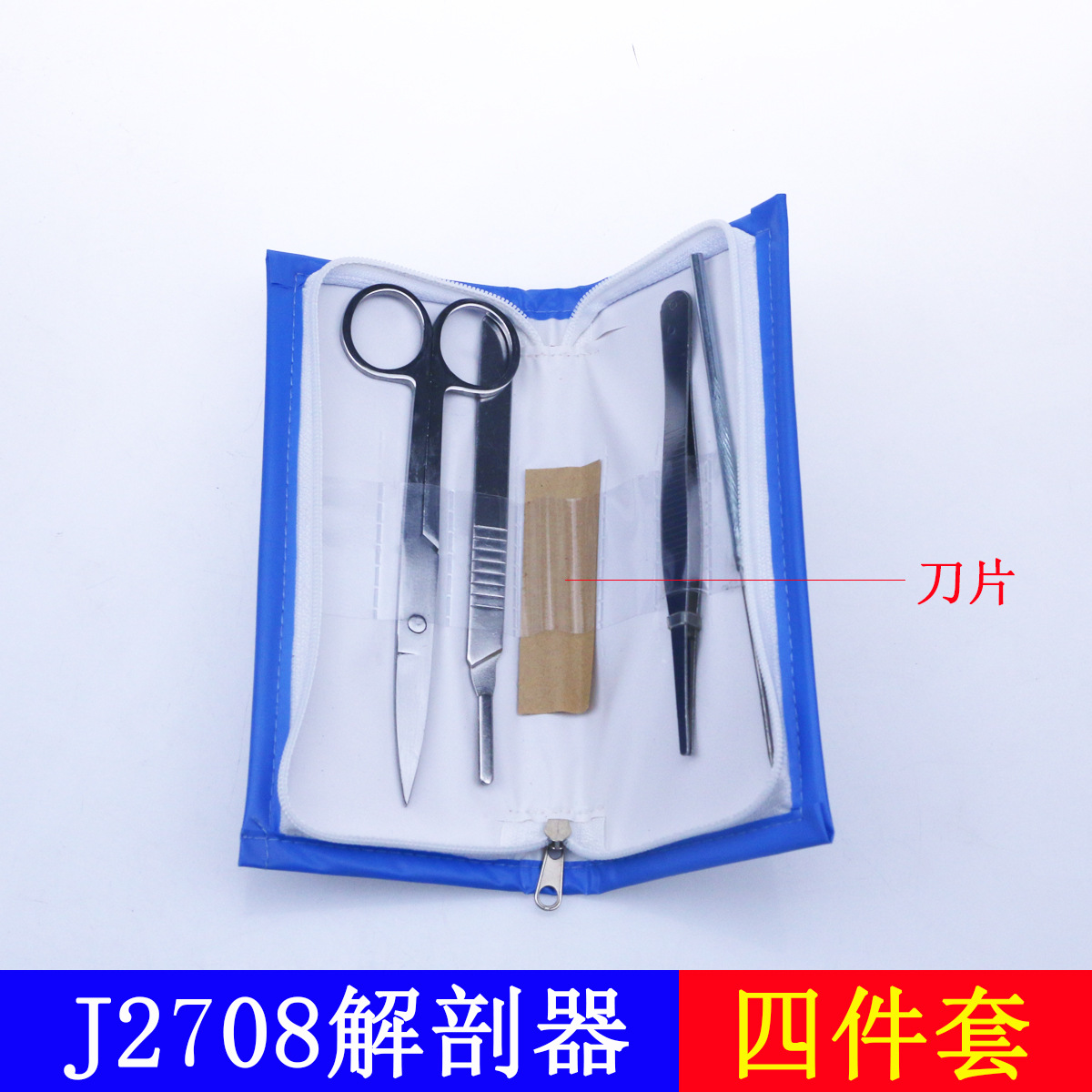 Four-Piece Anatomy Set, 4-Piece Set, Biological Anatomy, Anatomy Needle, Animal Specimen Making Tools, Teaching Instruments