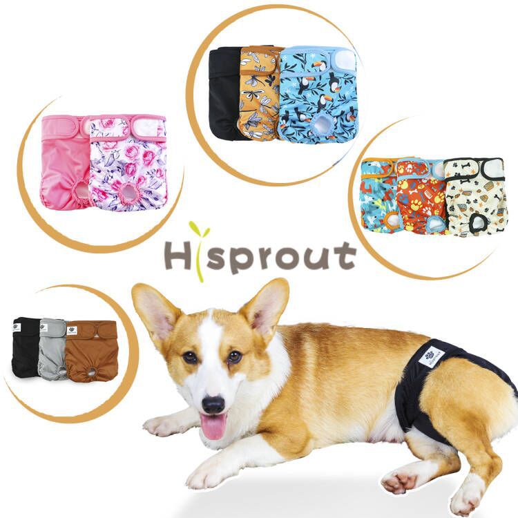 Подгузники для сук, физиологические штаны, washable подгузники для собак, подгузники для собак породы золотой ретривер