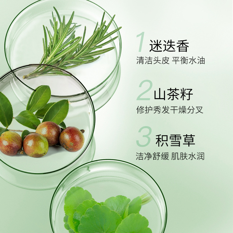 Hansel Rosemary Camellia Seed Centella Shampoo Body Soap Hair Mash 10ml Pack Travel Wash Portable Pack