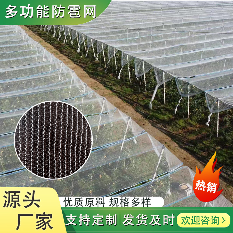 Сетка против града белая ромбовидная для яблоневых садов, вишневых деревьев, рисовых посадок, цветочных садов, утолщенная