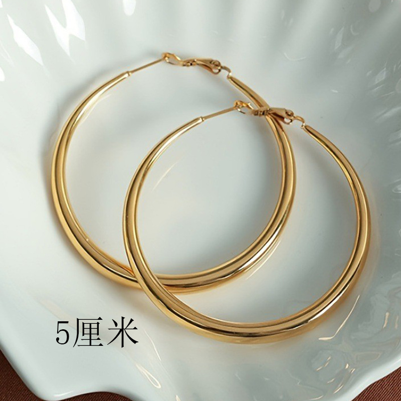 Simple temperament exaggerated big circle earrings female niche high-end sense of network red explosions earrings ear jewelry manufacturers wholesale