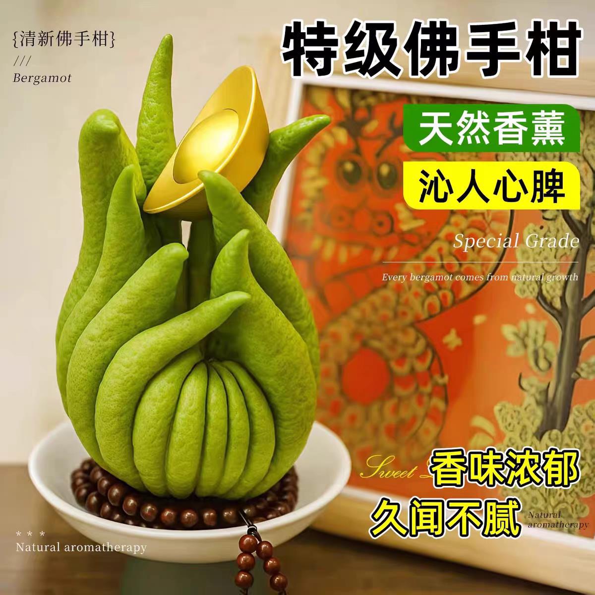 Bergamot Fresh Fruit Ornamental Edible Fresh Fruit with Branches Dried Fragrant Bergamot Hydroponic Green Plant Ornaments Flower Potted Plants