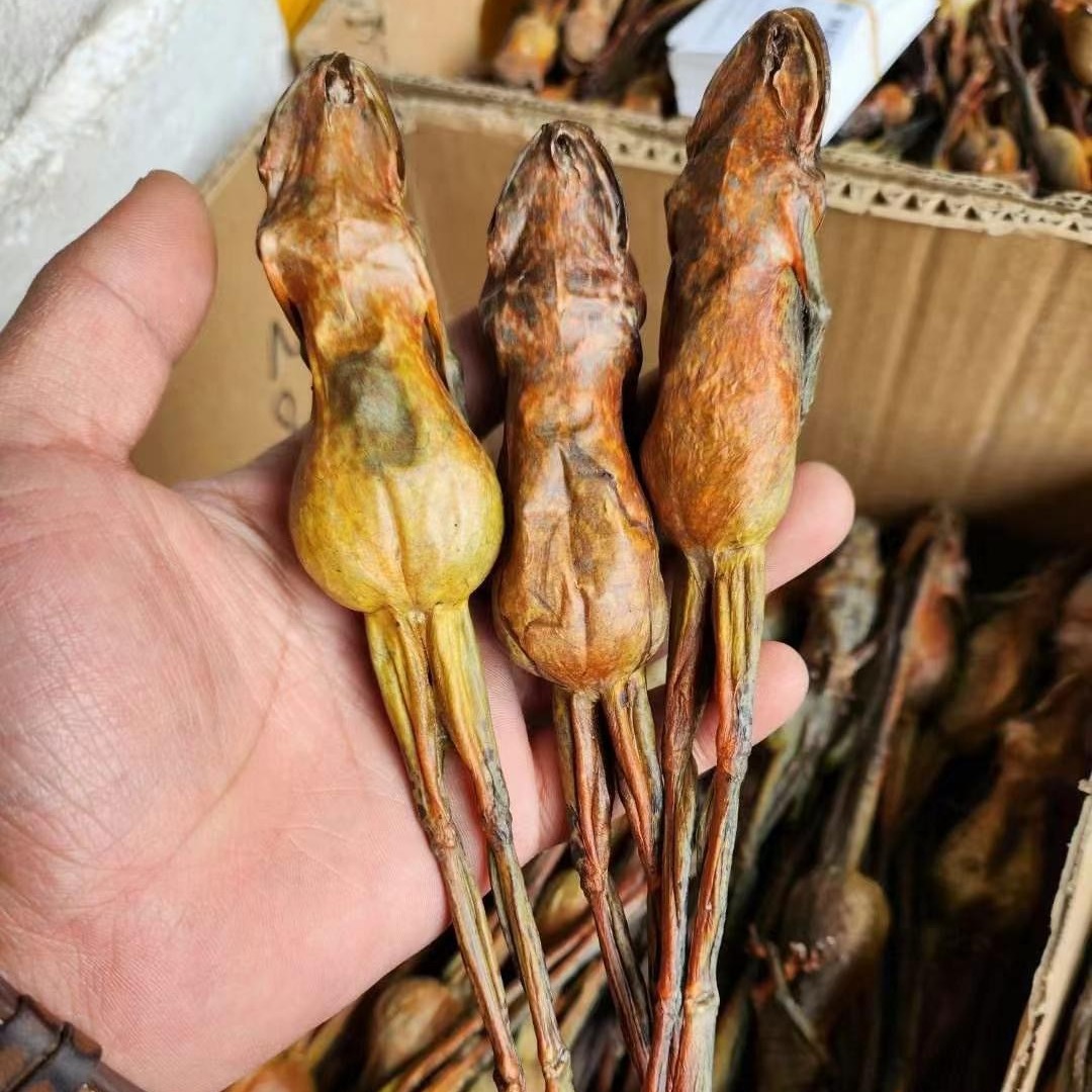 Northeast Specialty Changbai Mountain Toad Oil, Snow Toad Oil, Line Oil, Block Oil, Forest Frog Oil, Dry Goods Wholesale, Wild Pure Oil