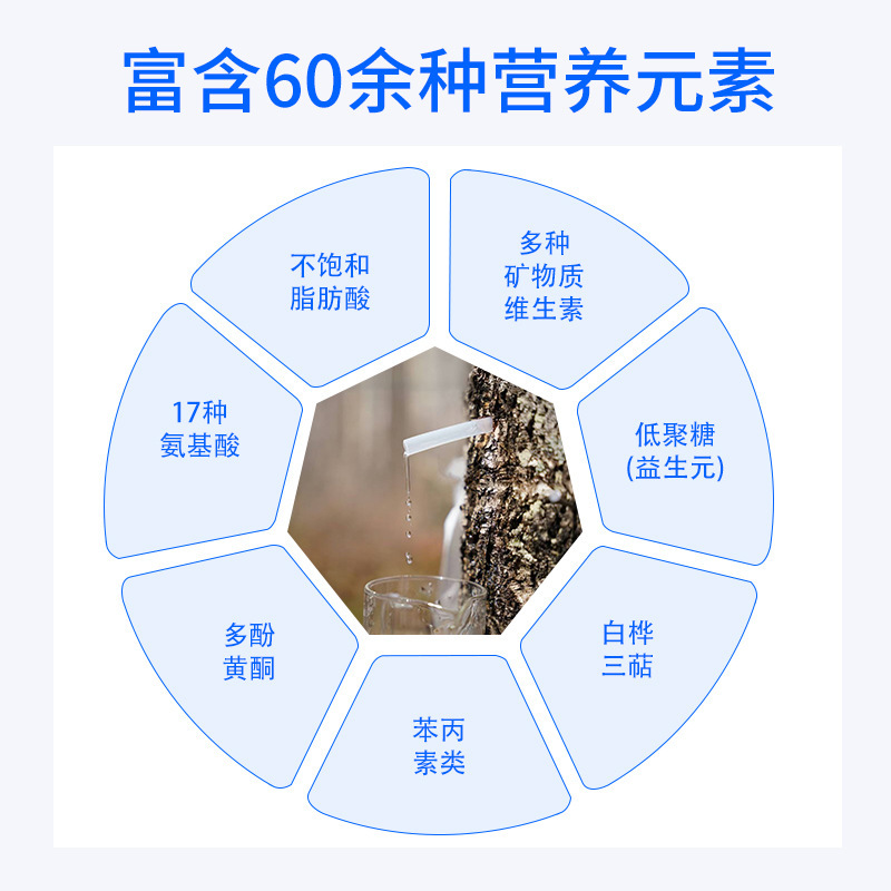 White Birch Sap, White Birch Liquid, White Birch Original Juice, 100% White Birch Original Juice, White Birch Sap