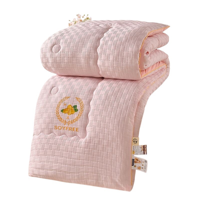 Class a Soy Fiber Quilt, Summer Cooling Quilt, Air-Conditioned Quilt Core, Thickeneded Warm Winter Quilt, Single Double Spring & Fall Quilt, All Year Round