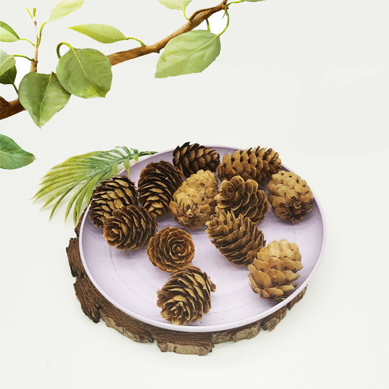 Larch pine dried flower pine tower painted white mini pine fruit dyed white pine flower DIY decorative accessories wholesale