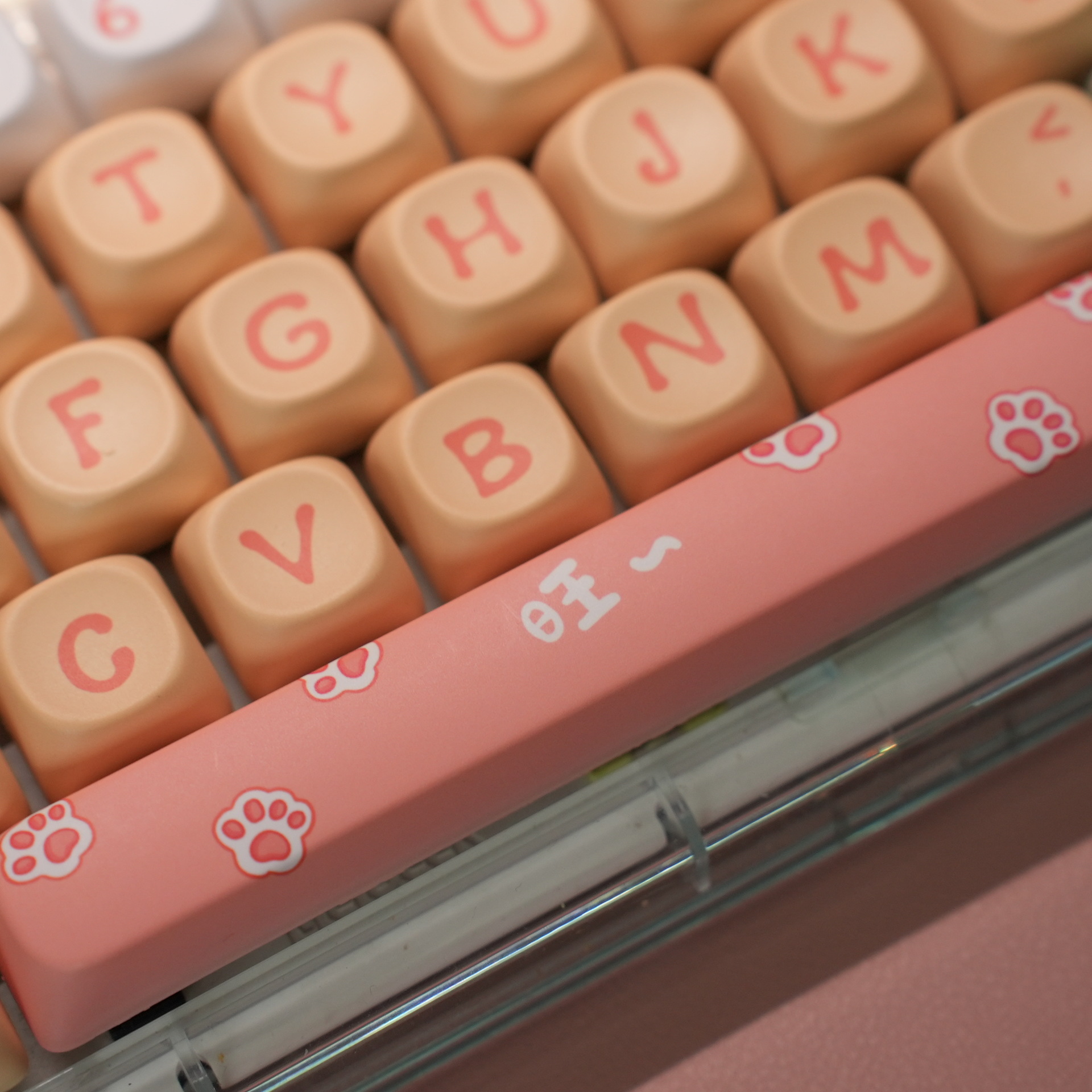 Xda Oem Moa Mda Original Highly Sublimated Keycap Colorful Pattern Custom Mechanical Keyboard Cap Keycap