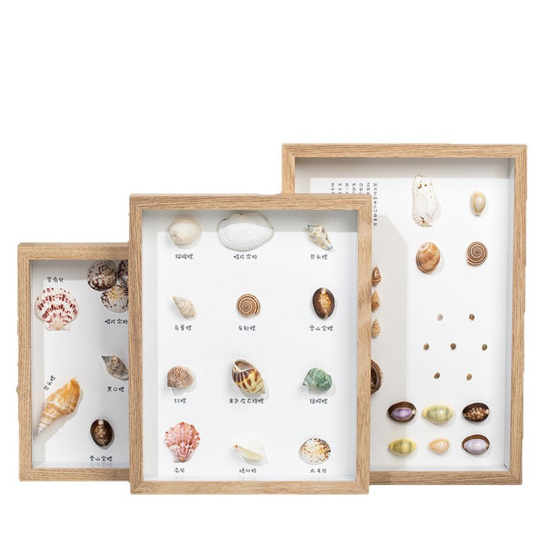 Specimen frame lighting painting hollow three-dimensional photo frame DIY creative dried flower Chinese decorative picture frame manufacturers wholesale 678 inch