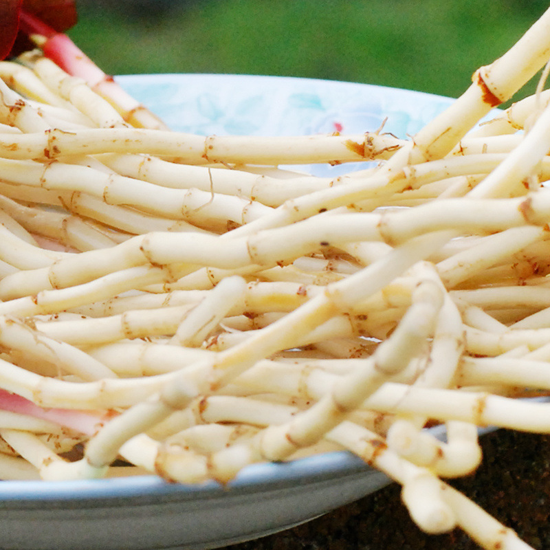 Fresh Vegetables with Fishy Aroma, Farm-Grown Young Roots, Cold-Dish Roots, Freshly Dug Fish-Flavored Roots, Wholesale from Independent Station