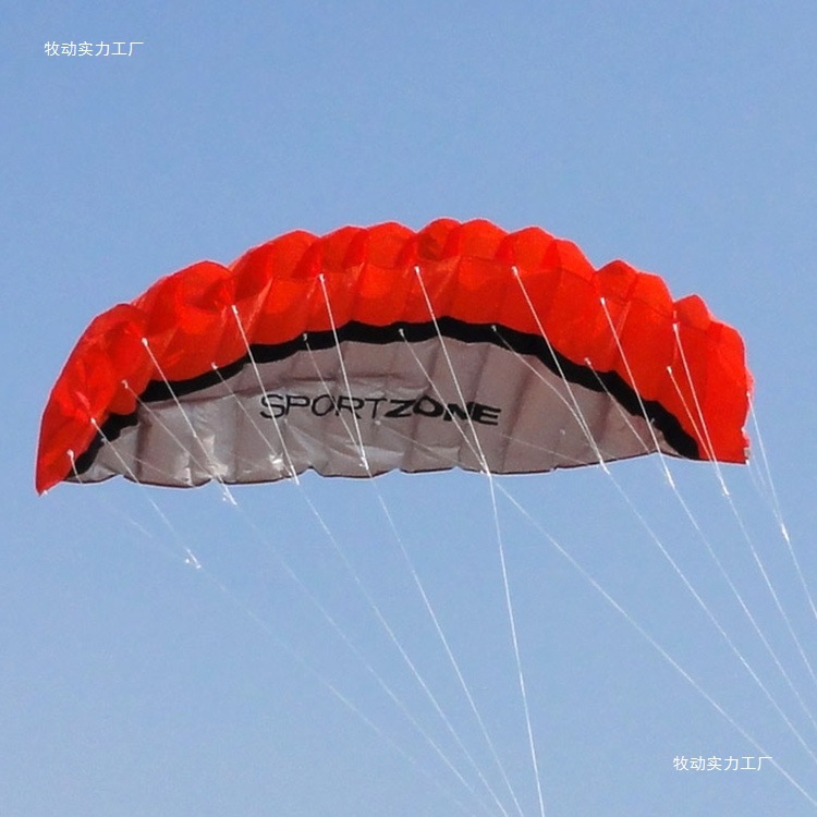 Double Line Soft Kite Stunt Sport Kite 2.5m Rainbow Umbrella Multi-Line Paraglider Kite Silk Flower