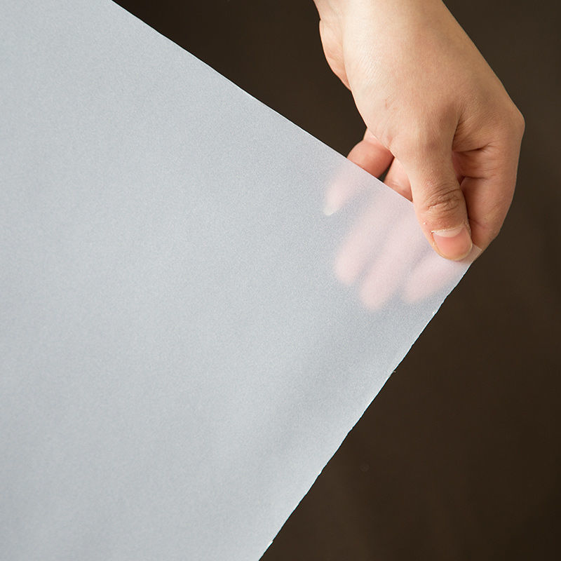 Glass Stickers Frosted Glass Film Translucent Opaque Window Blackout Bathroom Office Anti-Peep Window Stickers Wholesale