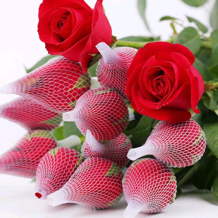 Corolla Red Rose Flowers Wholesale Yunnan Direct Batch Holiday Event Fresh A-Grade Red Rose Wedding Fresh Cut Flowers
