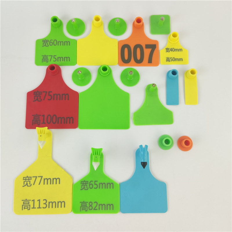 Large Split Ear Tag for Cattle with Tpu Material