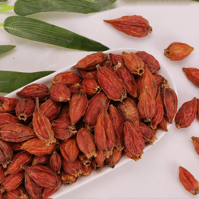 Factory Direct Sales of Gardenia, a Medicinal and Edible Plant, New Gardenia Herbal Medicine Wholesale and Retail, Large Quantity Discounts