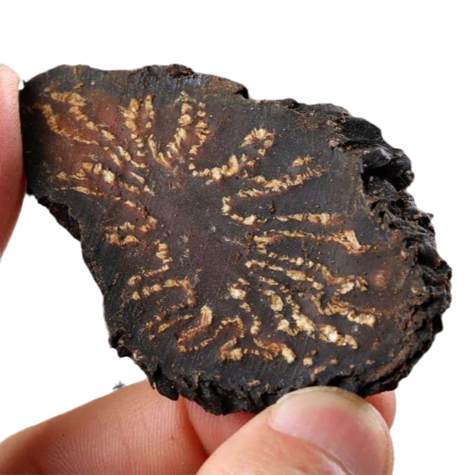 Special Grade Cistanche Deserticola Slices Inner Mongolia Alxa Special Grade Cistanche Deserticola Indulgent Slices Whole Root for Tea and Wine