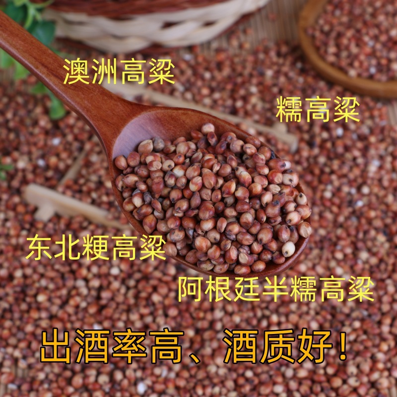 в наличии оптовая кожа красного сорго для варки новый и восковый уксус из красного сорго Австралия северо-восток японика сорго рис 100кг