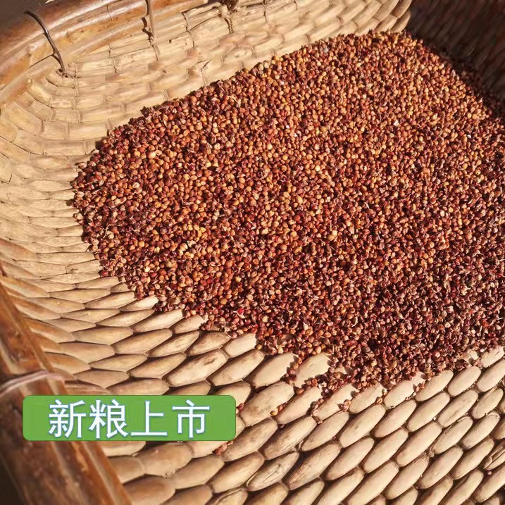 Wholesale red sorghum with skin and unpeeled sorghum brewing vinegar raw materials red sorghum sorghum rice a generation of hair