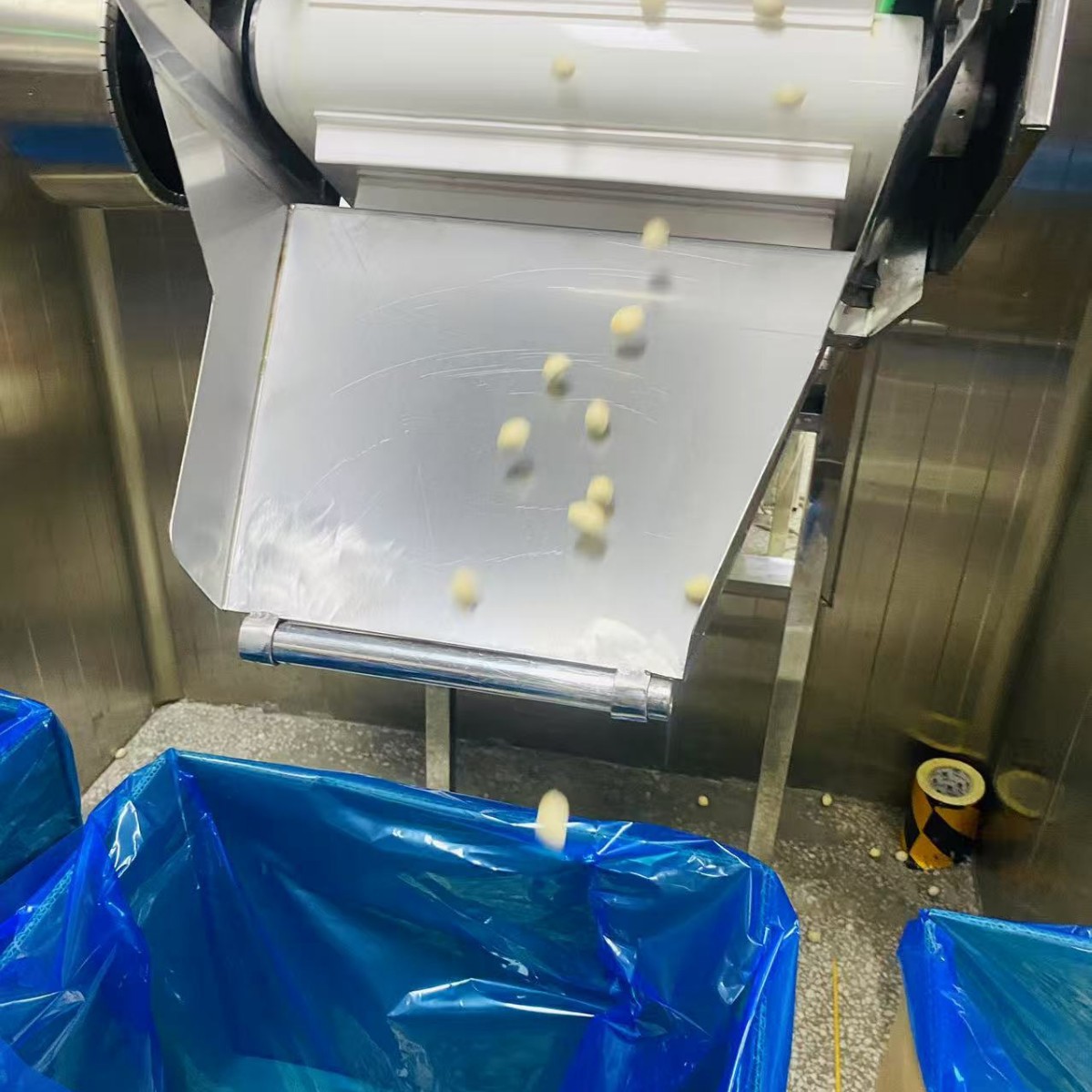 Frozen Ginkgo Nuts, Ginkgo Nuts, Frozen Ginkgo Nuts, Complete Export Export Qualifications, High-Quality Ginkgo Nuts Exported to Japan and South Korea