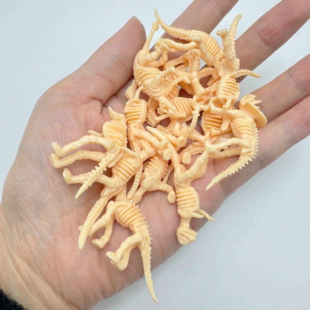 Cross-border simulation dinosaur skeleton small size mini dinosaur skeleton children's toy model ornaments archaeological excavation wholesale