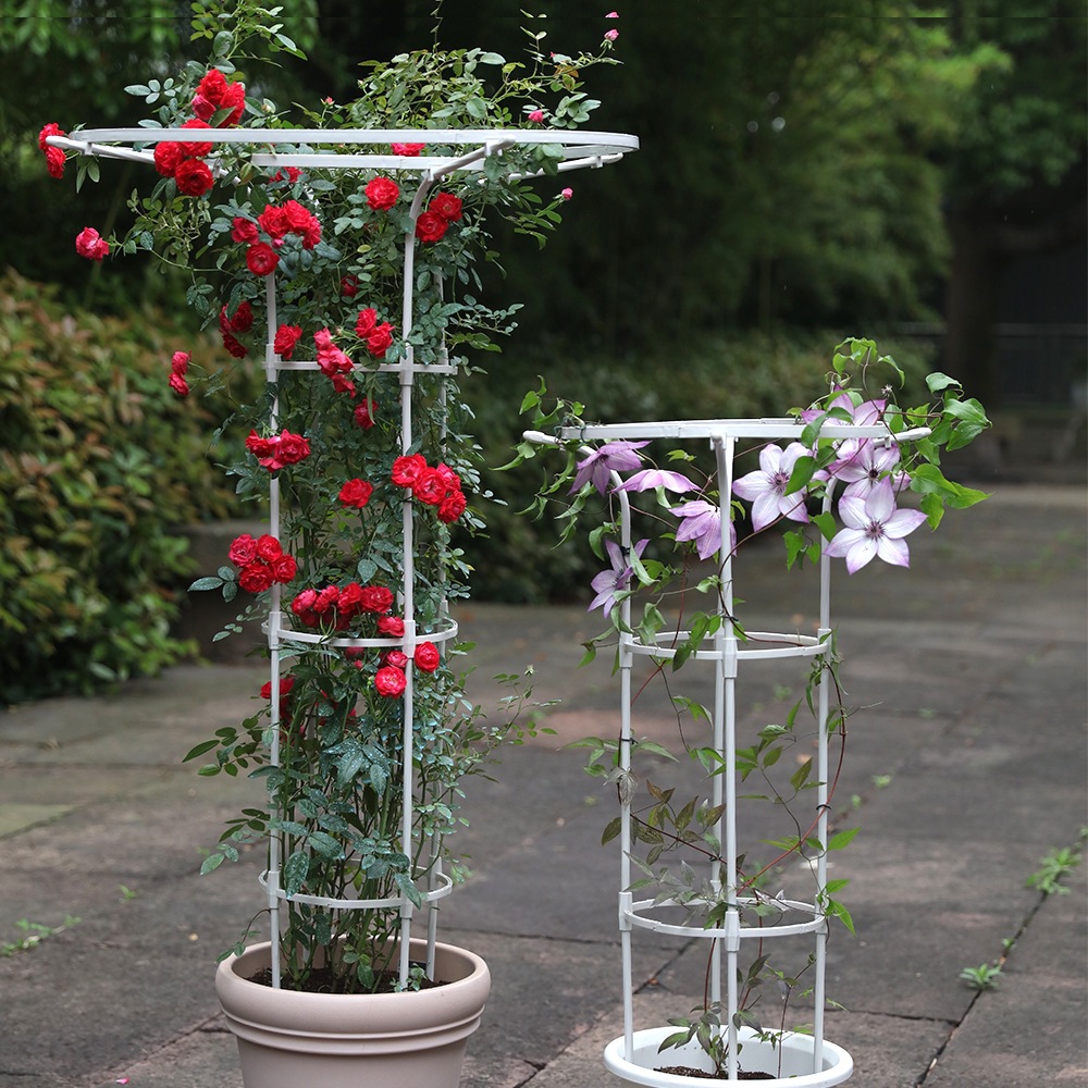 Umbrella-Shaped Flower Stand Climbing Frame Rose Stand Balcony Clematis Frame Courtyard Outdoor Rose Iron Climbing Frame