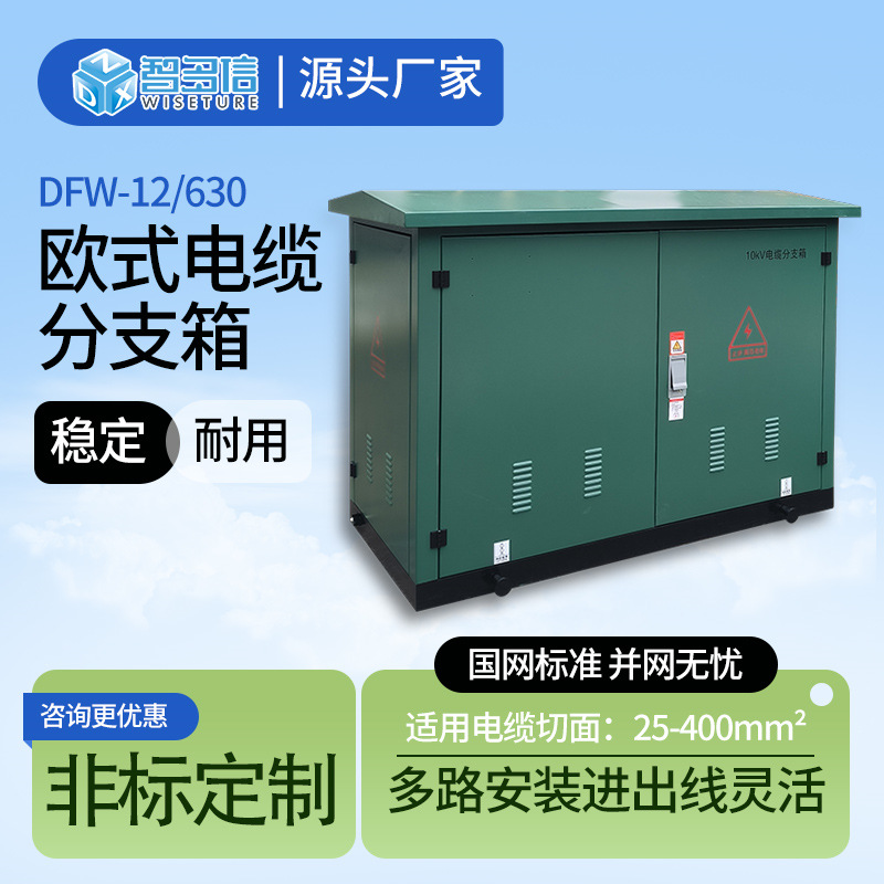 35Kv High Voltage Cable Branch Box 10Kvdfw-12/630 One in Two Three Four Out Outdoor European Style Tap Box
