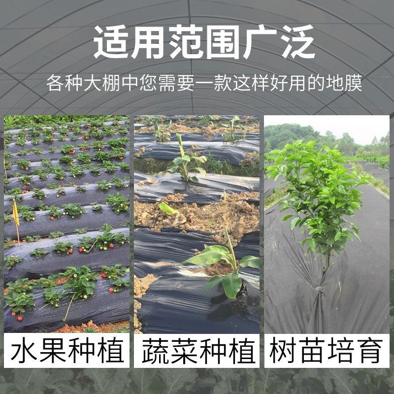 Black mulching film for agricultural weeding thickened mulching film PE film perforated plastic degradable plastic cloth film for planting vegetables and preventing grass