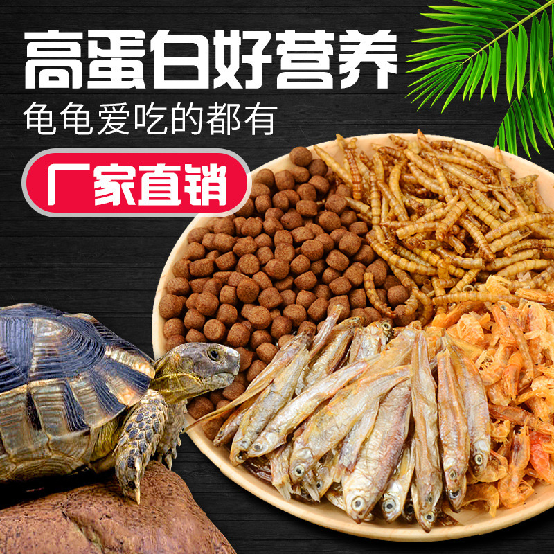 Factory direct turtle food turtle feed Chinese turtle Brazilian turtle turtle food general high protein nutrition wholesale