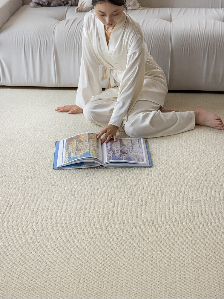 Imitation Sisal Carpet for Bedroom and Living Room, Anti-Cat Scratch Studio Bedside Carpet, Simple Rental Bay Window Photo Cream Style