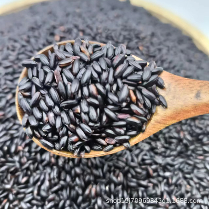 Northeast Black Pearl Rice, Black Rice, Pearl Rice, Black Fragrant Rice, Vacuum-Packed Grains, Black Rice Porridge Ingredients, Wholesale Glutinous Rice