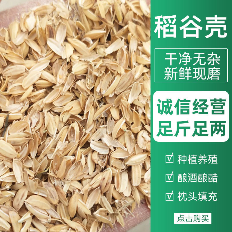 Supply Rice husk, cattle, sheep, chicken feed, pet bedding, pillow filling, livestock, distillery, wine making, Dapeng planting