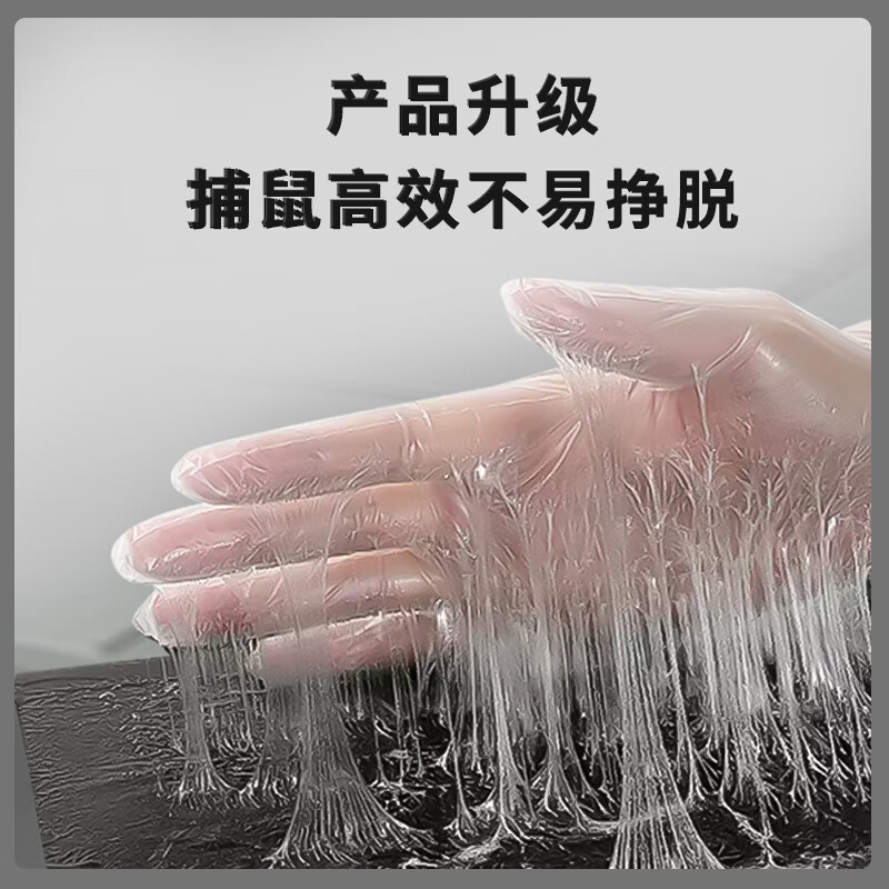 Mouse Trap Board Manufacturer Wholesale Thickened Household Safety Biological Special Super Strong Adhesive Mouse Trap Sticker